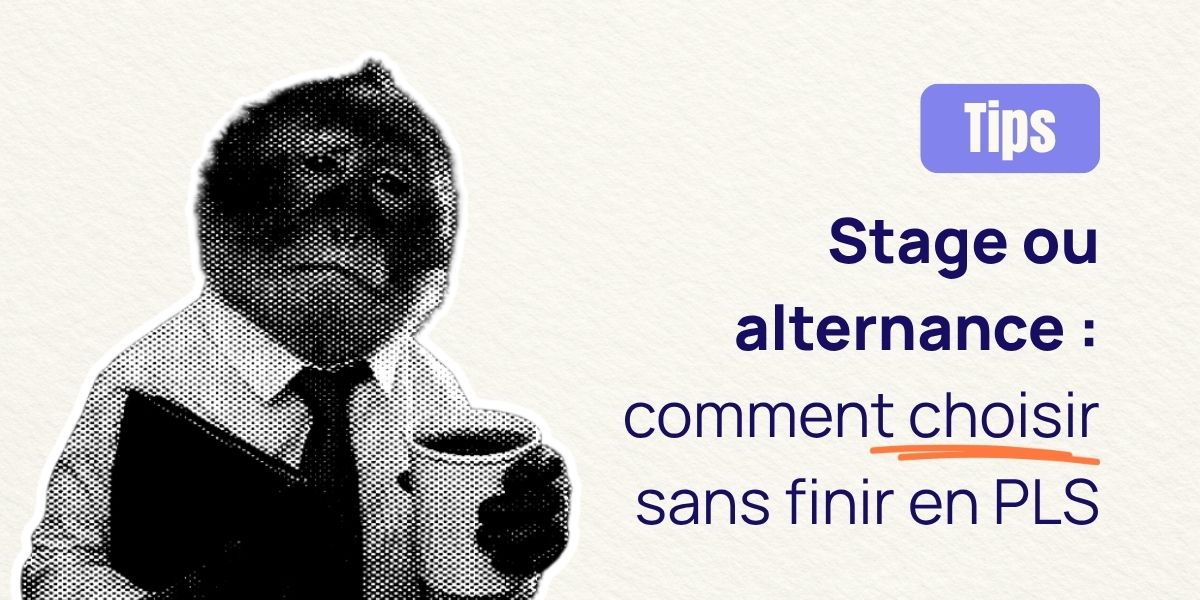 Stage ou alternance : comment choisir sans finir en PLS